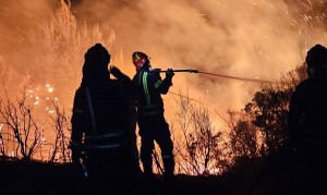 incendii grecia (10)