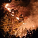 incendii grecia (11)