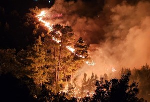 incendii grecia (11)