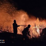 incendii grecia (12)