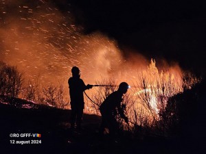 incendii grecia (12)