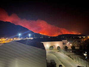 incendii grecia (14)