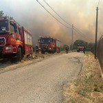 incendii grecia (15)