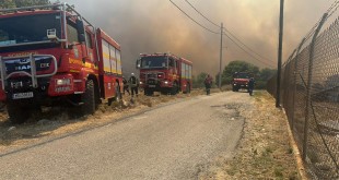 incendii grecia (15)