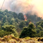 incendii grecia (4)