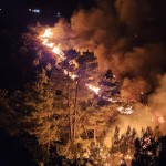 incendii grecia (8)