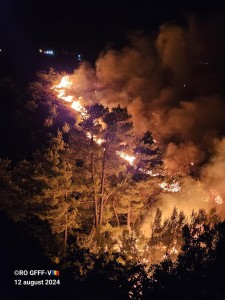 incendii grecia (8)