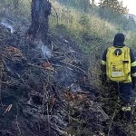 incendiu de vegetație forestieră arges (4)