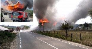 incendiu valea mare pravat arges (2)