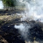 incendiu vegetatie uscata (1)