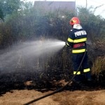 incendiu vegetatie uscata (2)