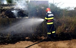 incendiu vegetatie uscata (2)