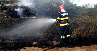 incendiu vegetatie uscata (2)