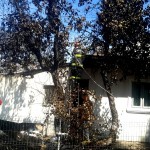 incendu casa Mirosi (5)