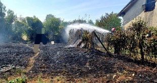 tern distrus în urma arderilor necontrolate (1)