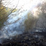 incendii vegetatie arges (2)