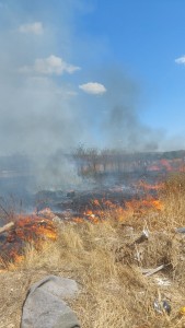 incendiu Leordeni - satul Glambocata (1)