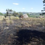 incendiu Leordeni - satul Glambocata (2)