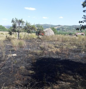 incendiu Leordeni - satul Glambocata (2)