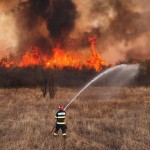 incendiu arges -leordeni (3)