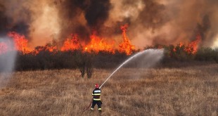 incendiu arges -leordeni (3)