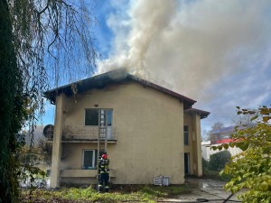 incendiu budeasa -casa arges (5)