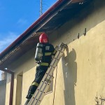 incendiu budeasa -casa arges (9)