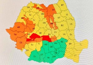 COD PORTOCALIU - COD ROȘU