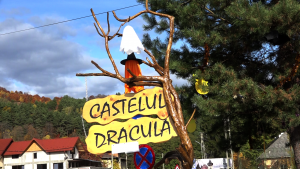 Castelul lui Dracula din Arefu (6)