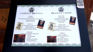 Castelul lui Dracula din Arefu (9)