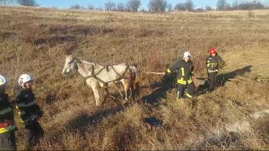 Căruța răsturnată la Costești (10)