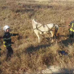 Căruța răsturnată la Costești (9)