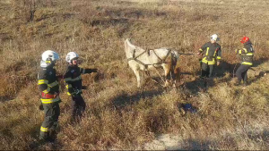 Căruța răsturnată la Costești (9)