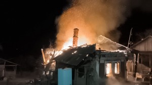 Incendiu casă bătrânească Berevoești (3)