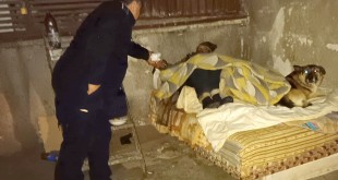 Persoanele fără adăpost - Poliția Locală (3)