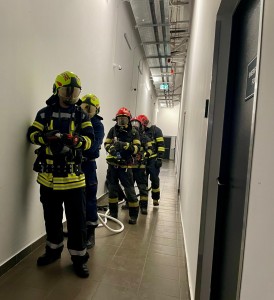 ISU ARGES -EXERCITIU (4)