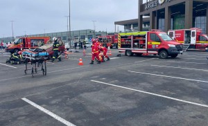 Exercițiu demonstrativ (7)