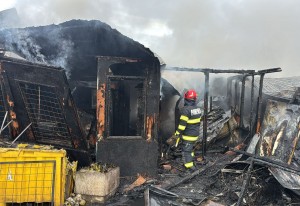 Incendiu hală CET-Bradu (2)