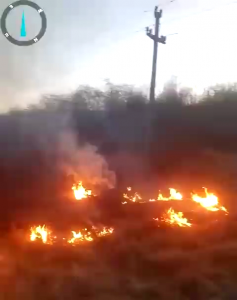 Incendiu vegetatie uscată Leordeni (1)