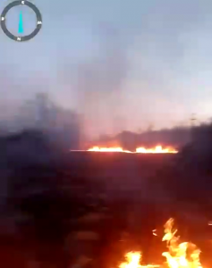 Incendiu vegetatie uscată Leordeni (2)