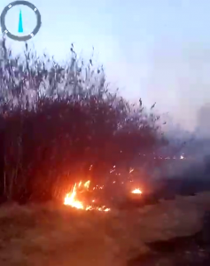 Incendiu vegetatie uscată Leordeni (3)