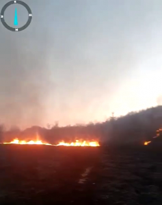 Incendiu vegetatie uscată Leordeni (4)