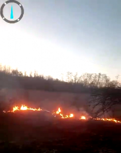 Incendiu vegetatie uscată Leordeni (5)