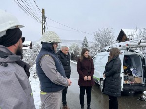 energie electrică (1)