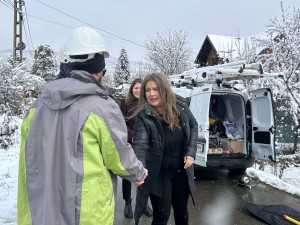 energie electrică (2)