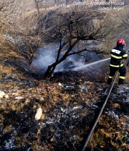 incendii arges (4)