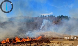 incendii la vegetația uscată în Argeș (1)