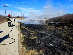 incendii la vegetația uscată în Argeș (4)