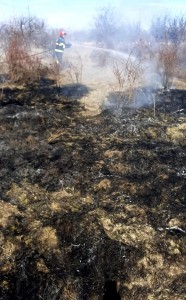incendii la vegetația uscată în Argeș (5)