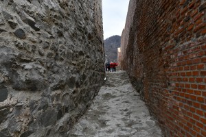 Cetatea Poienari (11)